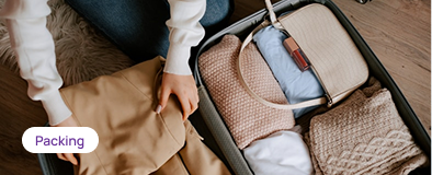 Organized travel packing